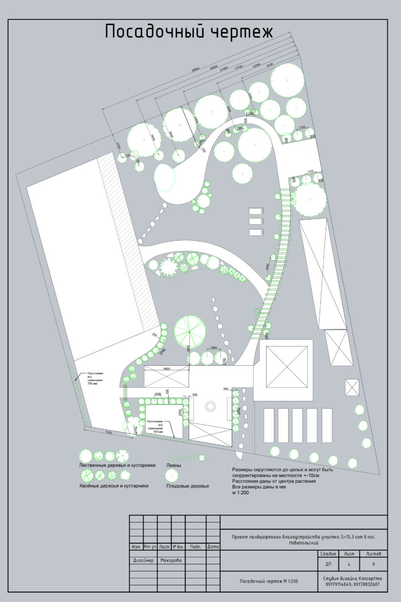 Посадочный чертеж. Дендроплан участка 15 соток. Посадочный чертеж в ландшафтном дизайне пример. Посадочный чертеж парка.