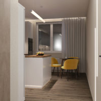 Кухня-коридор (5)